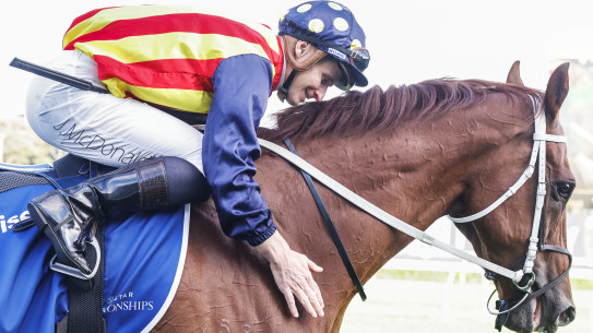 James McDonald give Nature Strip a pat  after winning his third TJ Smith at Randwick in April.