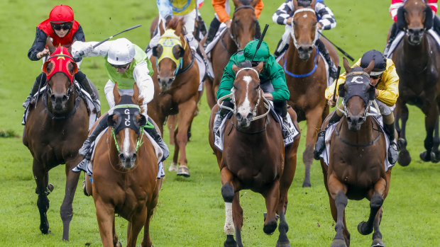 Race-by-race preview and tips for Hawkesbury on Thursday
