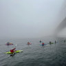 Sydney disappears behind fog cloud