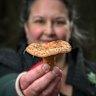Mushroom forager Anna Matilda in a Woodend looking for mushrooms, she also runs tours for those keen to pick their own mushrooms. 
