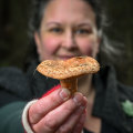 Mushroom forager Anna Matilda in a Woodend looking for mushrooms, she also runs tours for those keen to pick their own mushrooms. 