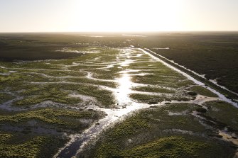 Water flows for the first time since 2016 into the Gayini wetlands with flood waters from the Lachlan River trickling down.
