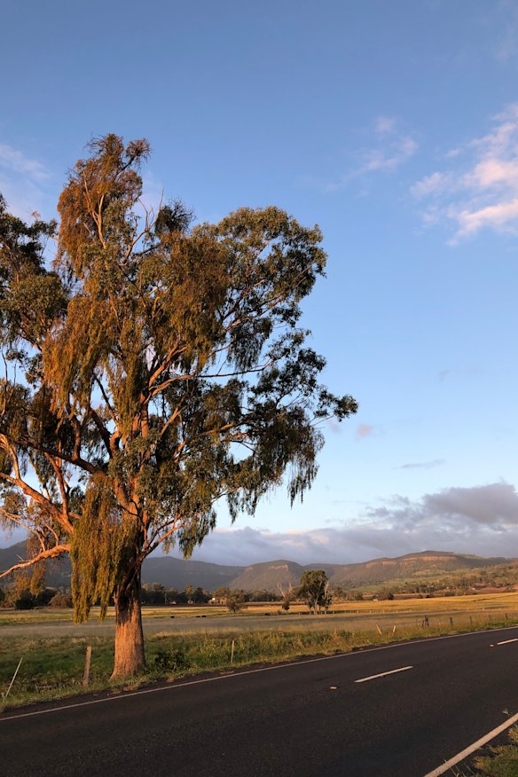 Killarney, QLD.