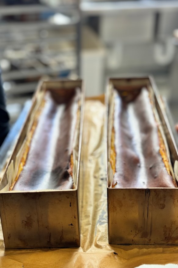 Fresh from the oven.