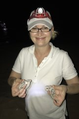 Anna Marsden, managing director of Great Barrier Reef Foundation with green turtle hatchlings.
