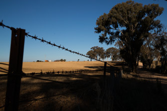 Dry paddocks near Molong, in the central west of the state.