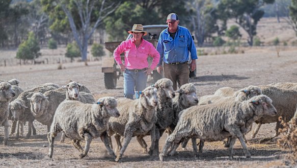 Julie and Stuart Green on their drought-stricken farm in Benalla.