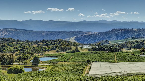 Batlow is famous for its apple orchards.