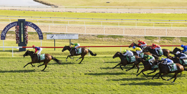 Racing returns to the Hawkesbury track on Tuesday.