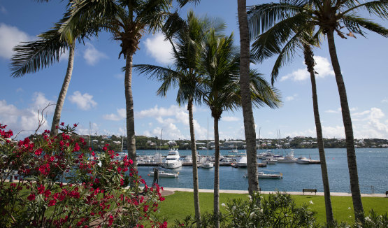 Sydney man Greg Dwyer has been living an idyllic lifestyle in Bermuda. 