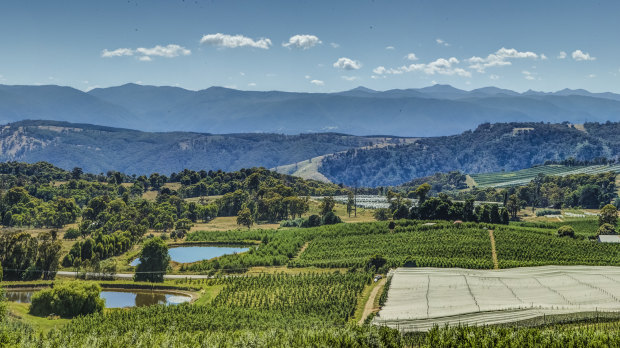 Batlow is famous for its apple orchards.