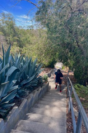 Joyce Street Stairs. It’s hard to find and not in the Jacob’s Ladder league but still provides a challenge.