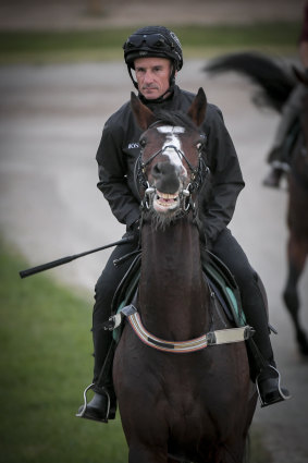 Glen Boss rides Melbourne Cup favourite Constantinople in trackwork at Flemington last week.