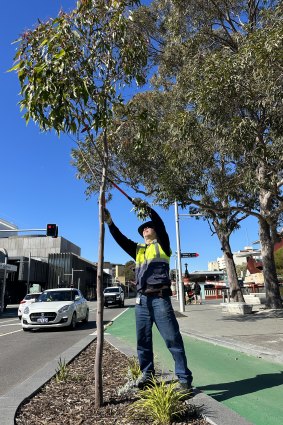 City of Perth Park Supervisor Gavin Golding tidying up a damaged tree.