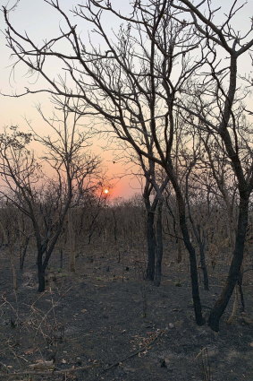 An area that has been scorched by fire in the state of Mato Grosso, Brazil, this week.