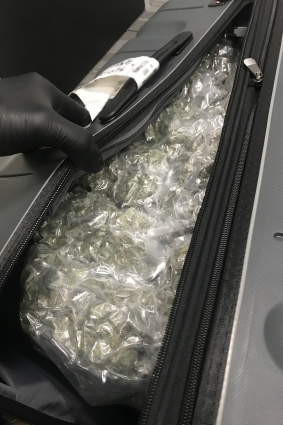 Two suitcases filled with cannabis was found at the Brisbane Airport domestic terminal.