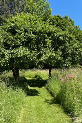 Un arboretum privé en Belgique qui sert de refuge et de nourriture aux pollinisateurs.