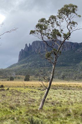 Mount Oakleigh, from the New Pelion Hut.