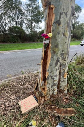 More tributes have since crowded the site of the crash.