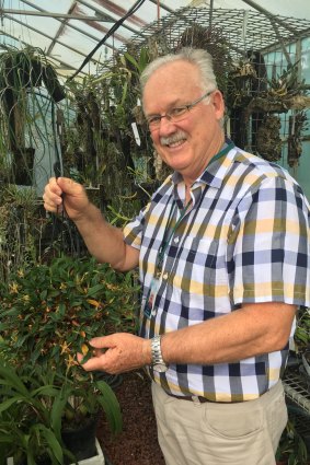 Dr Mark Clements among the collection of orchids at the Australian National Herbarium in Canberra.