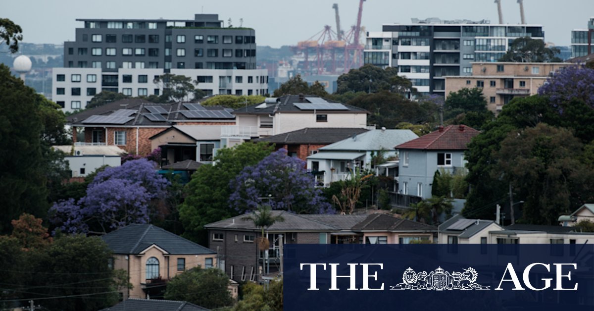 Affordable housing, social housing, build-to-rent: What's the difference? - Vimarsana News