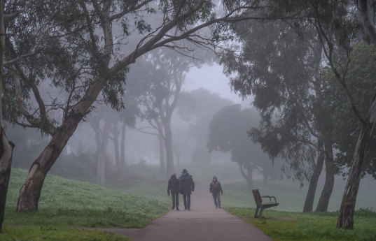 The Merri Creek Trail runs between Clifton Hill and Fawkner.