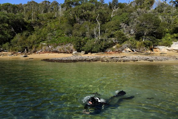 Carl Fallon, co-founder of The Abyss Project and Sea Dragon Diving Co., examines conditions near the inshore reef.
