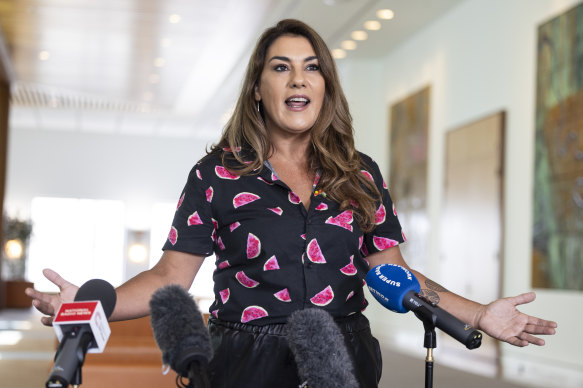 Senator Lidia Thorpe on Tuesday accused the government of “hiding under their desks” from tough questions.