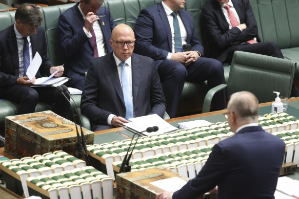 Opposition Leader Peter Dutton and Prime Minister Anthony Albanese during question time.