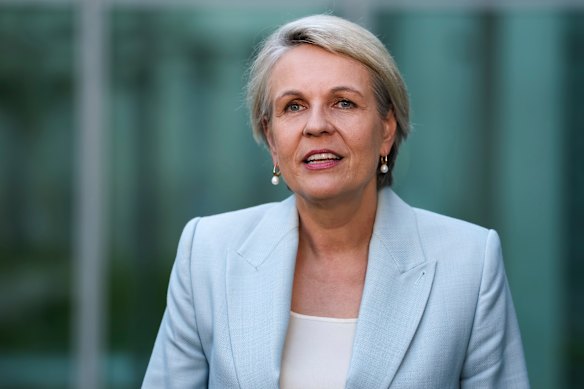 Minister for Social Services Tanya Plibersek.
