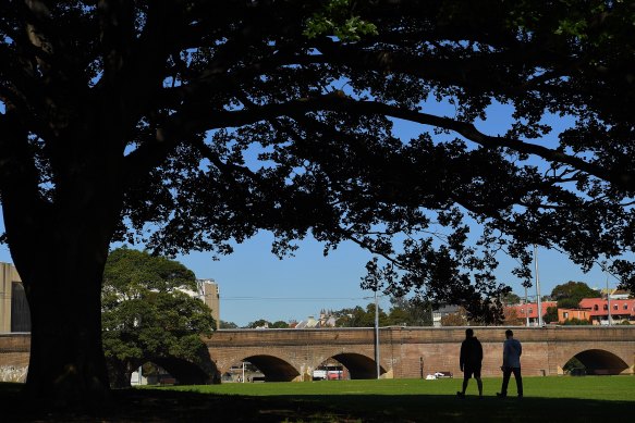 The NSW government is considering Wentworth Park as an option for motorists.