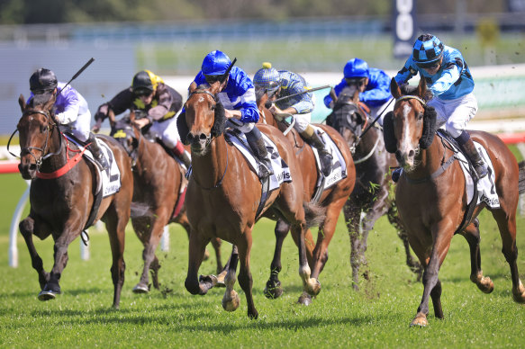 Williamsburg thunders down the outside to win the Dulcify Stakes at Randwick.