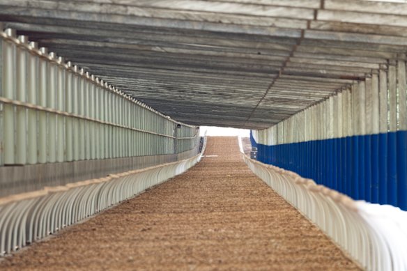 Ballarat decided to build a racetrack in 2019. It’s still waiting for ...