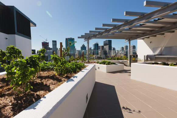Amenities like this rooftop garden are a key feature of the Common Ground housing model. 