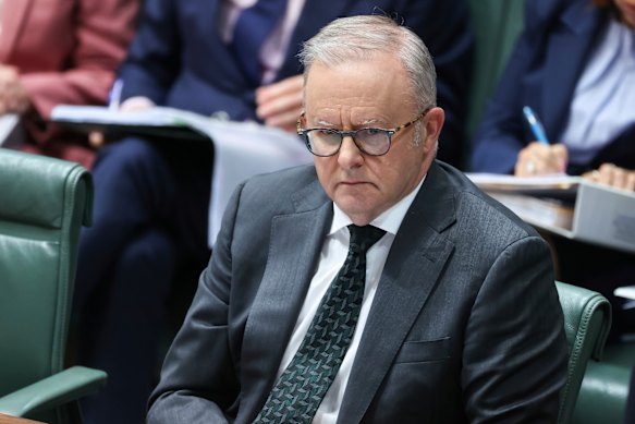 Anthony Albanese’s minister are split over how to respond to AI investment.