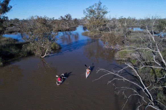 Peter Berney, a National Parks and Wildlife Service ecologist leads a visitor through part of the Back Lake in the Narran Lakes complex of northern NSW.