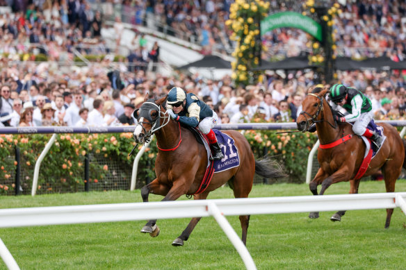 Soulcombe clears out to win the Queen’s Cup at Flemington last year.