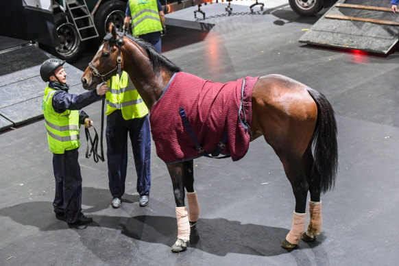 Victoria Road arrives at Tullamarine earlier this month.