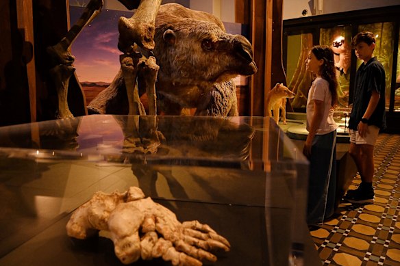 Indigo and Riley Hannam eyeball the Diprotodon optatum, the largest marsupial that ever lived. 