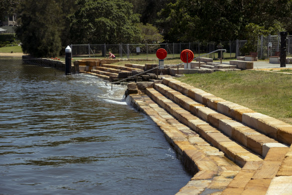 After a year of delays, Putney Beach near Gladesville is opening as a swim site this Saturday.