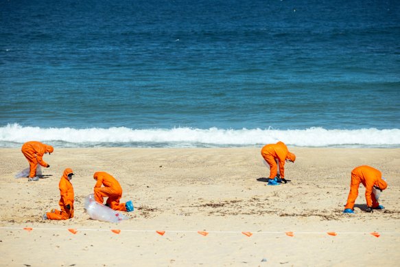 Workers in protective clothing clean up Coogee Beach after the debris balls were washed up.