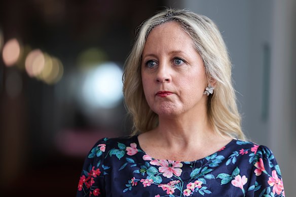 Opposition communications spokeswoman Melissa McIntosh.