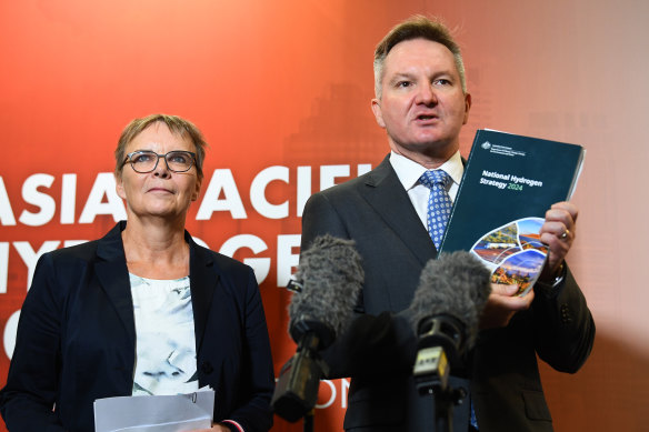 German State Secretary Anja Hajduk and Climate Change and Energy Minister Chris Bowen announced a deal to jointly fund $660 million of hydrogen development earlier this month. 