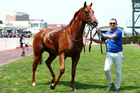 Hanseatic after winning the Blue Diamond Prelude.