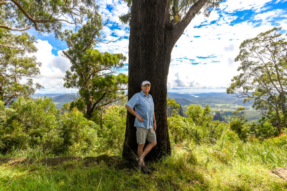 Binna Burra chair Steve Noakes says climate change is the greatest threat to the cherished eco retreat.
