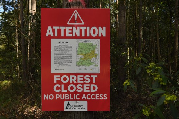 A sign stating the forest is closed and there is no public access in the Lower Bucca State Forest, near Coffs Harbour, NSW. 