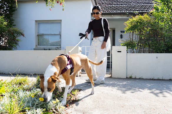 May May Lau with her dog Sansa, stopping to smell the flowers in Hurlstone Park.