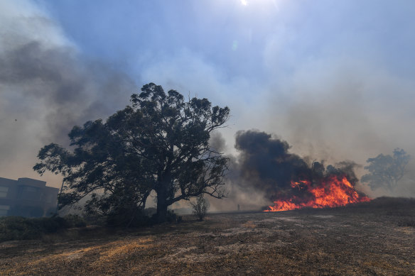 The fire in Plenty Gorge in Mill Park.