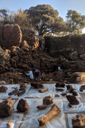 How Two Melbourne Archeology Students Discovered A New Branch Of