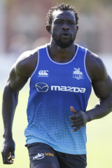 majak daw north aren same without aap credit